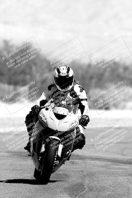 media/Mar-12-2022-SoCal Trackdays (Sat) [[152081554b]]/Track Exit (For Lunch)/